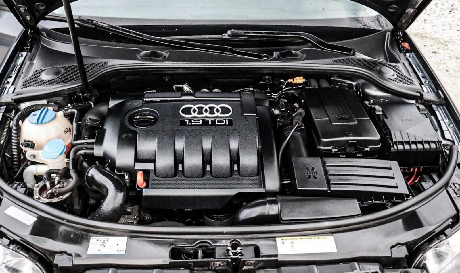Audi A3 1.9tdi 105kc , снимка 17 - Автомобили и джипове - 54044693