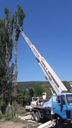 Автовишка Ruthmann MTS 260, снимка 4