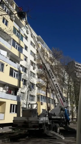 Автовишка Ruthmann MTS 260, снимка 2