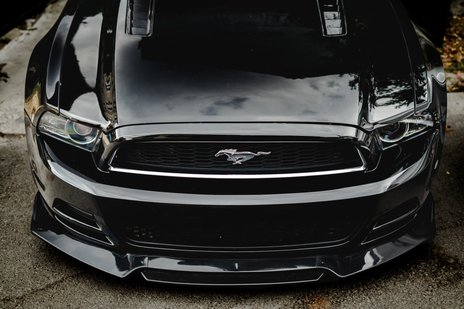 Ford Mustang 3.7  - изображение 7