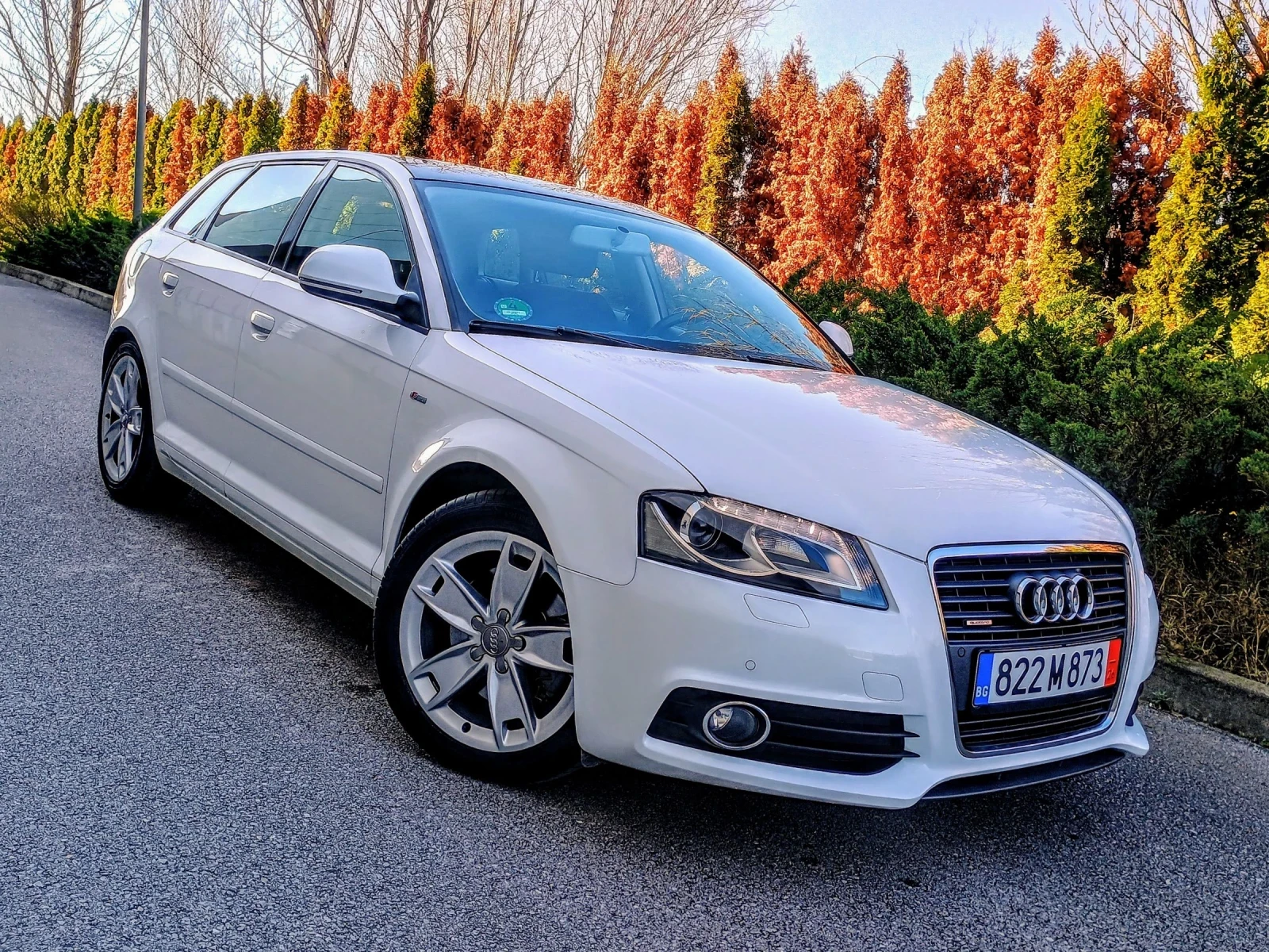 Audi A3 * S LINE * 2.0TDI  170ps  4X4 * ПАНОРАМА * XENON *, снимка 2 - Автомобили и джипове - 54001208