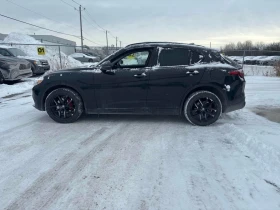 Alfa Romeo Stelvio 2019 AWD * CARFAX *    | Mobile.bg    3
