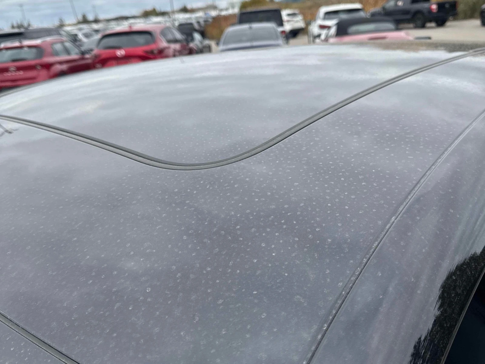 Porsche Macan GTS CARFAX    | Mobile.bg   15