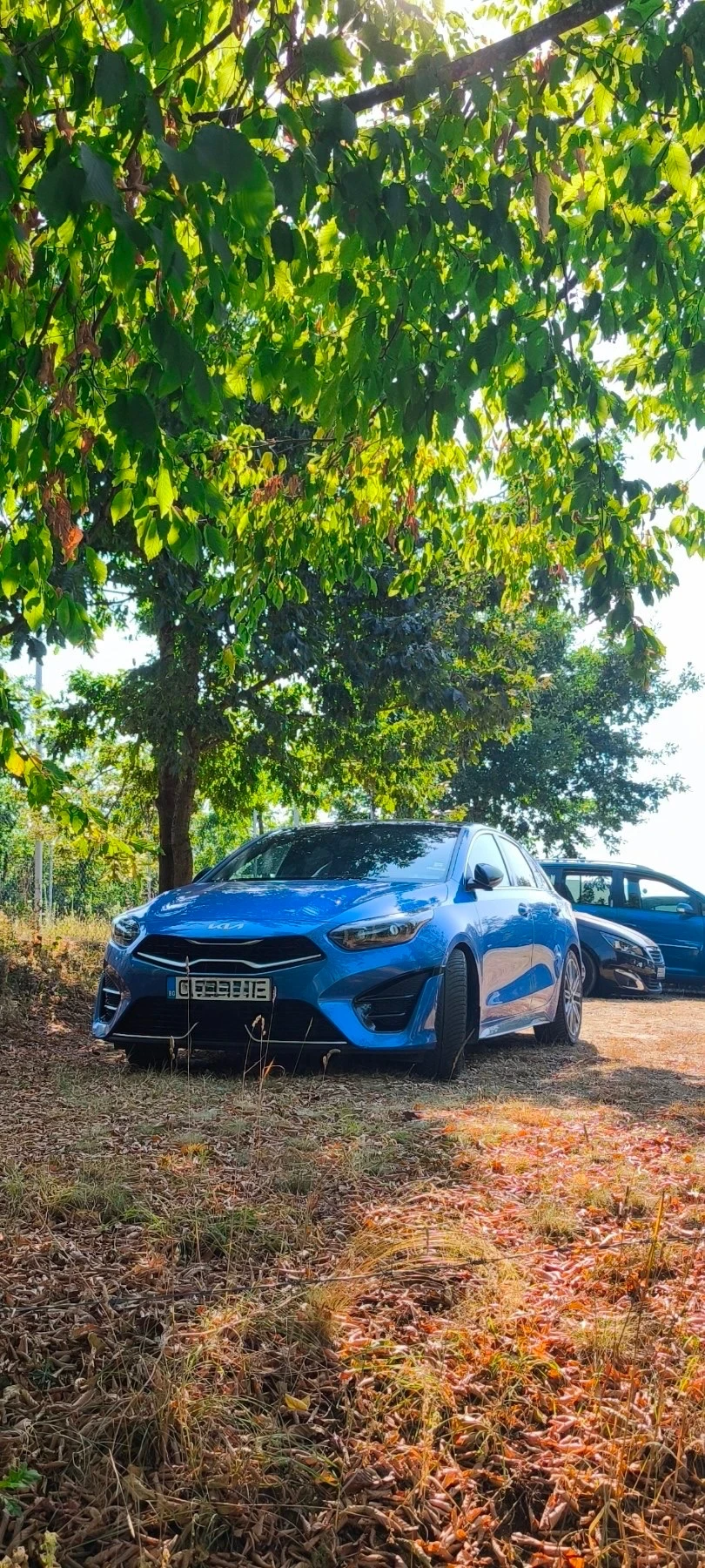 Kia Pro ceed 1.5T GT Line гаранционна