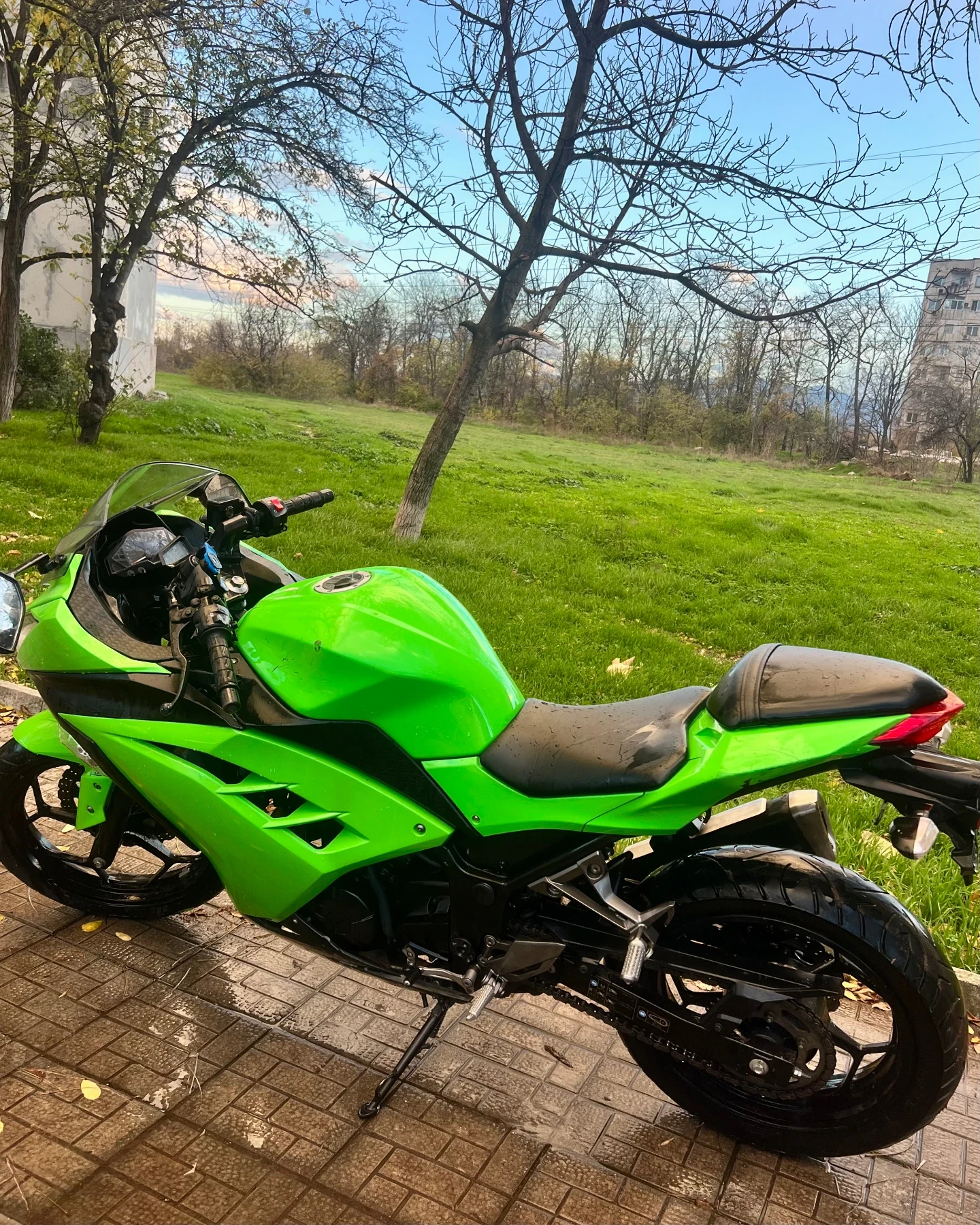 Kawasaki Ninja  - изображение 4