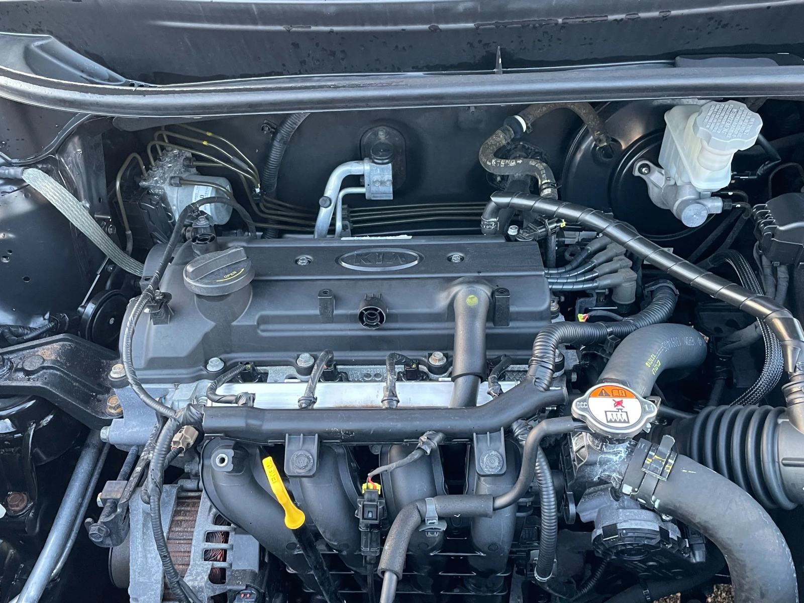 Kia Rio ПЕРФЕКТЕН-ИТАЛИЯ-НОВ ВНОС, снимка 16 - Автомобили и джипове - 54568340