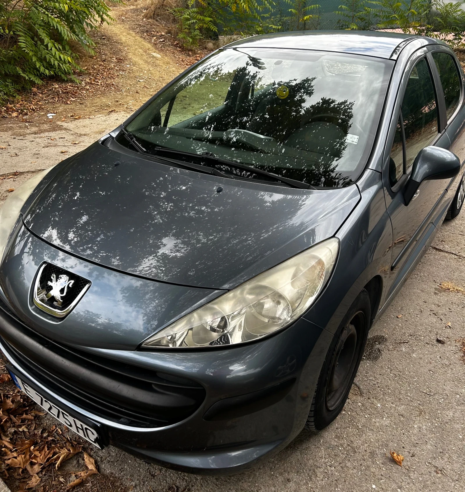 Peugeot 207