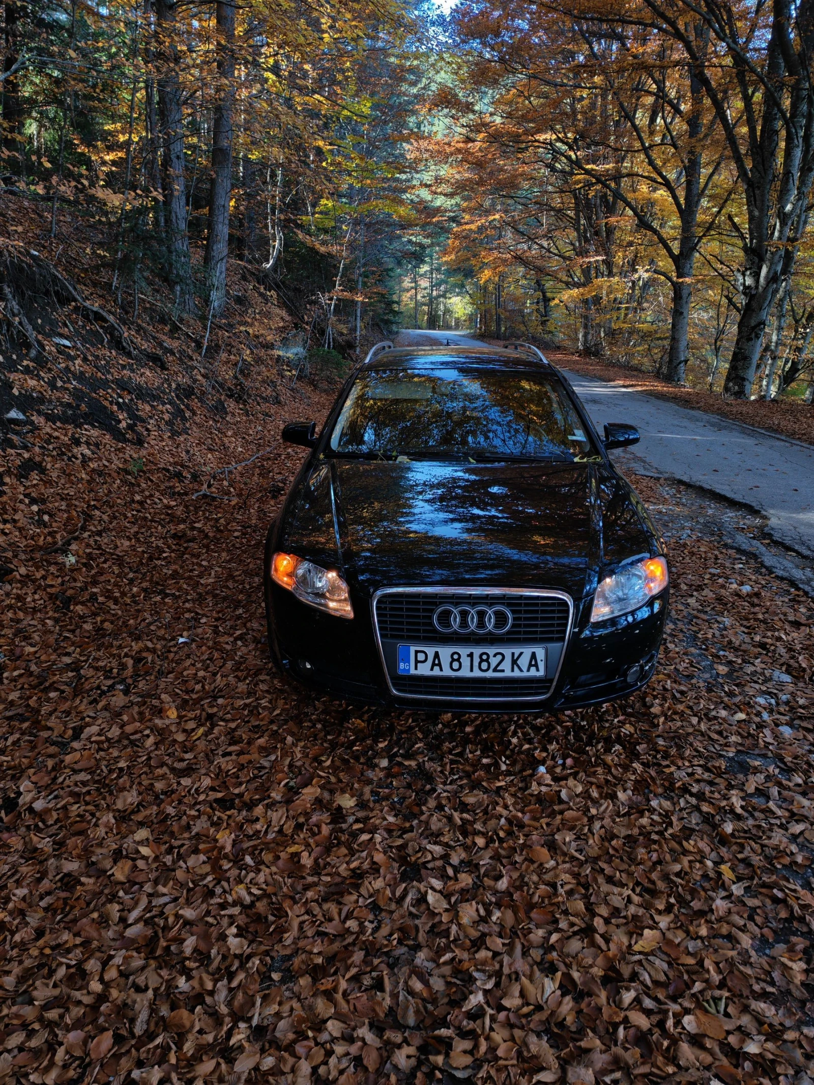 Audi A4 | Mobile.bg — изображение 12