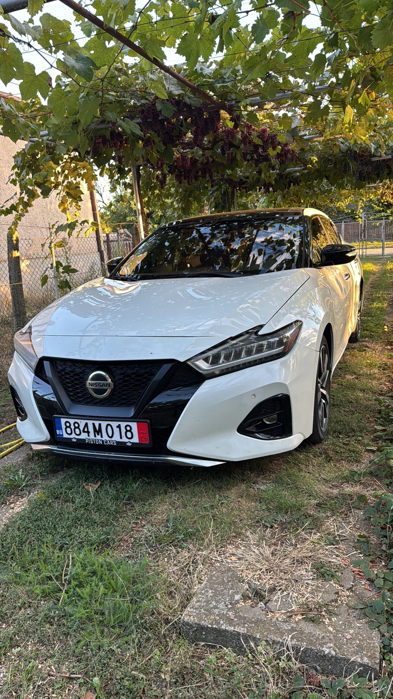 Nissan Maxima SL  FULL PANO , снимка 14 - Автомобили и джипове - 56335129