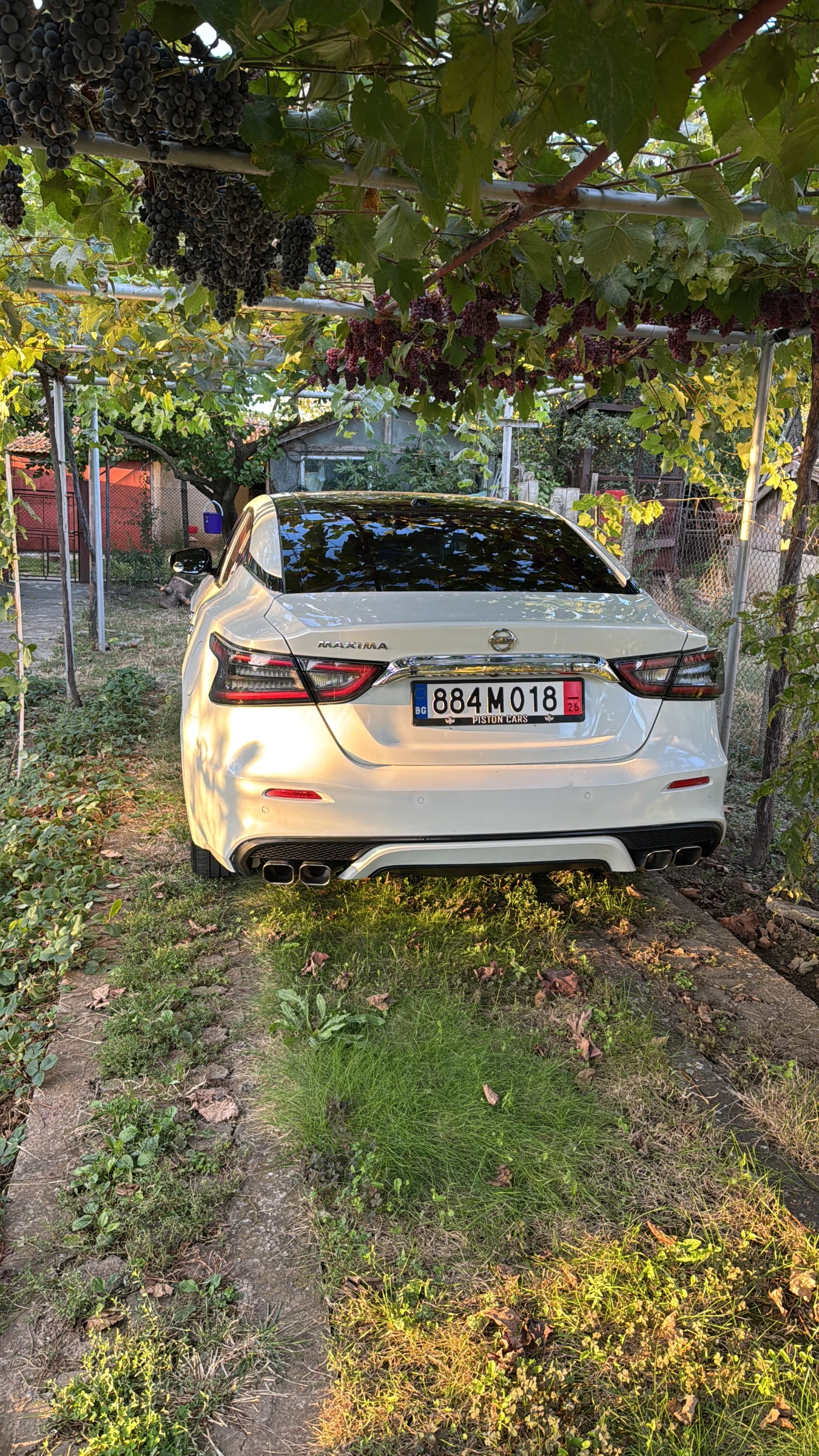 Nissan Maxima SL  FULL PANO , снимка 11 - Автомобили и джипове - 56335129