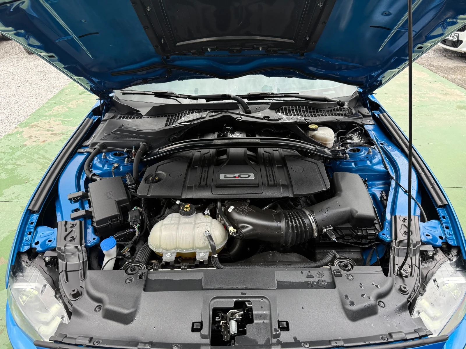 Ford Mustang GT PERFORMANCE, SHELBY-ВИЗИЯ, снимка 16 - Автомобили и джипове - 54113320