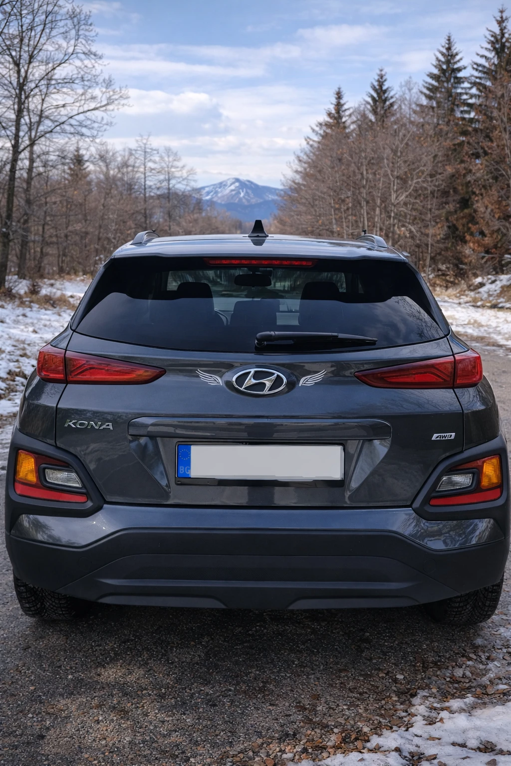 Hyundai Kona 2.0 L - изображение 3