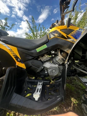 Can-Am Renеgade, снимка 6