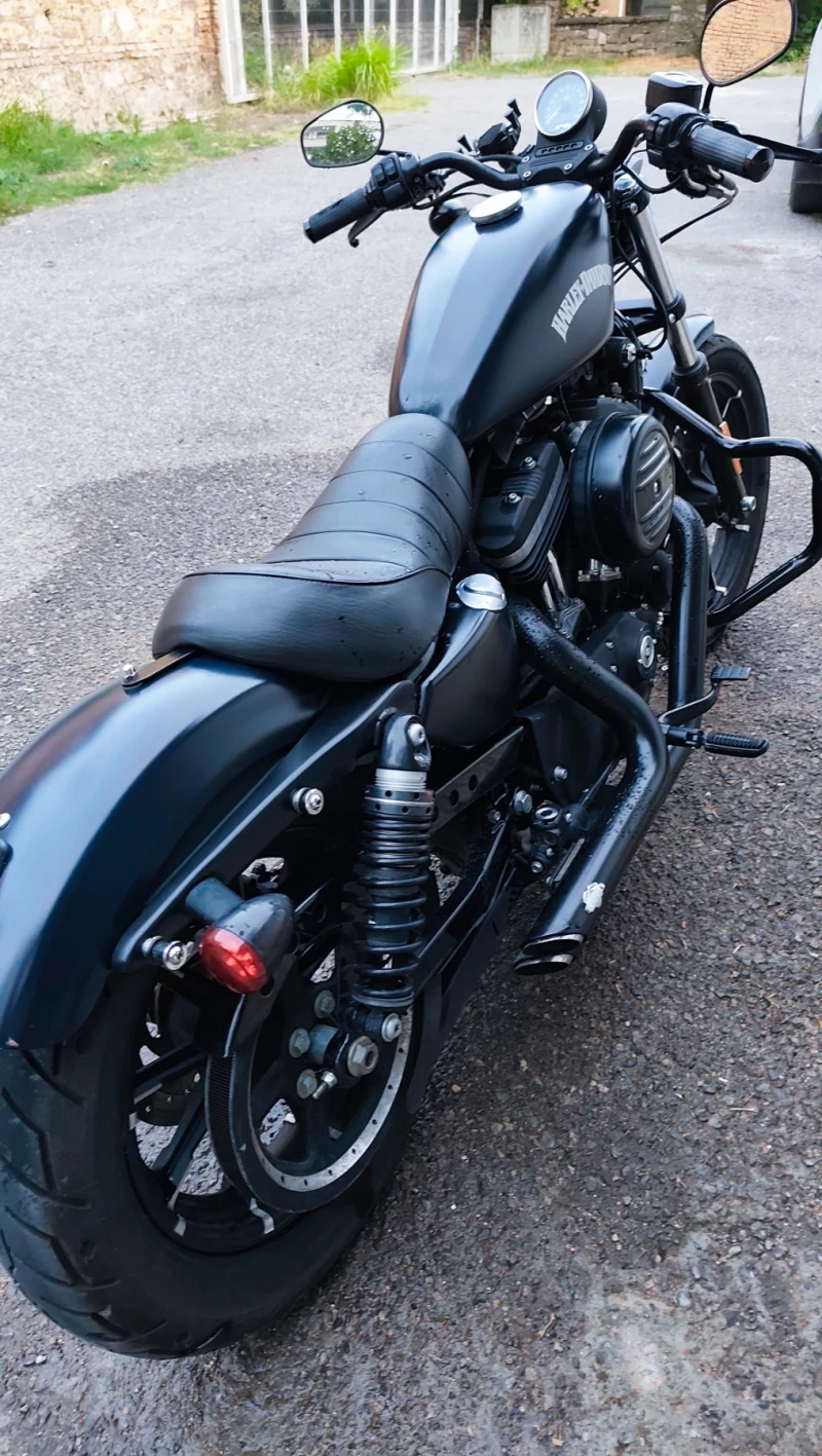 Harley-Davidson Sportster 883 xl iron, снимка 4 - Мотоциклети и мототехника - 52271350