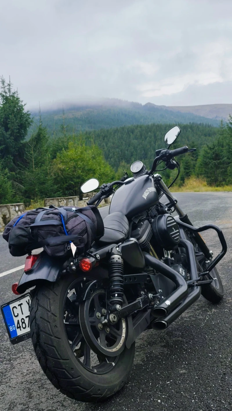 Harley-Davidson Sportster 883 xl iron, снимка 7 - Мотоциклети и мототехника - 52271350