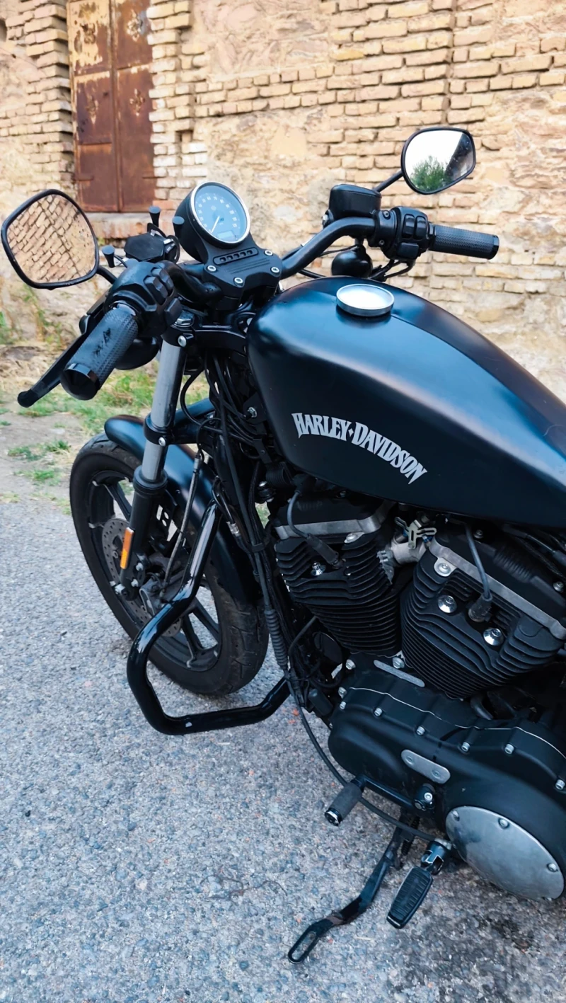 Harley-Davidson Sportster 883 xl iron, снимка 3 - Мотоциклети и мототехника - 52271350