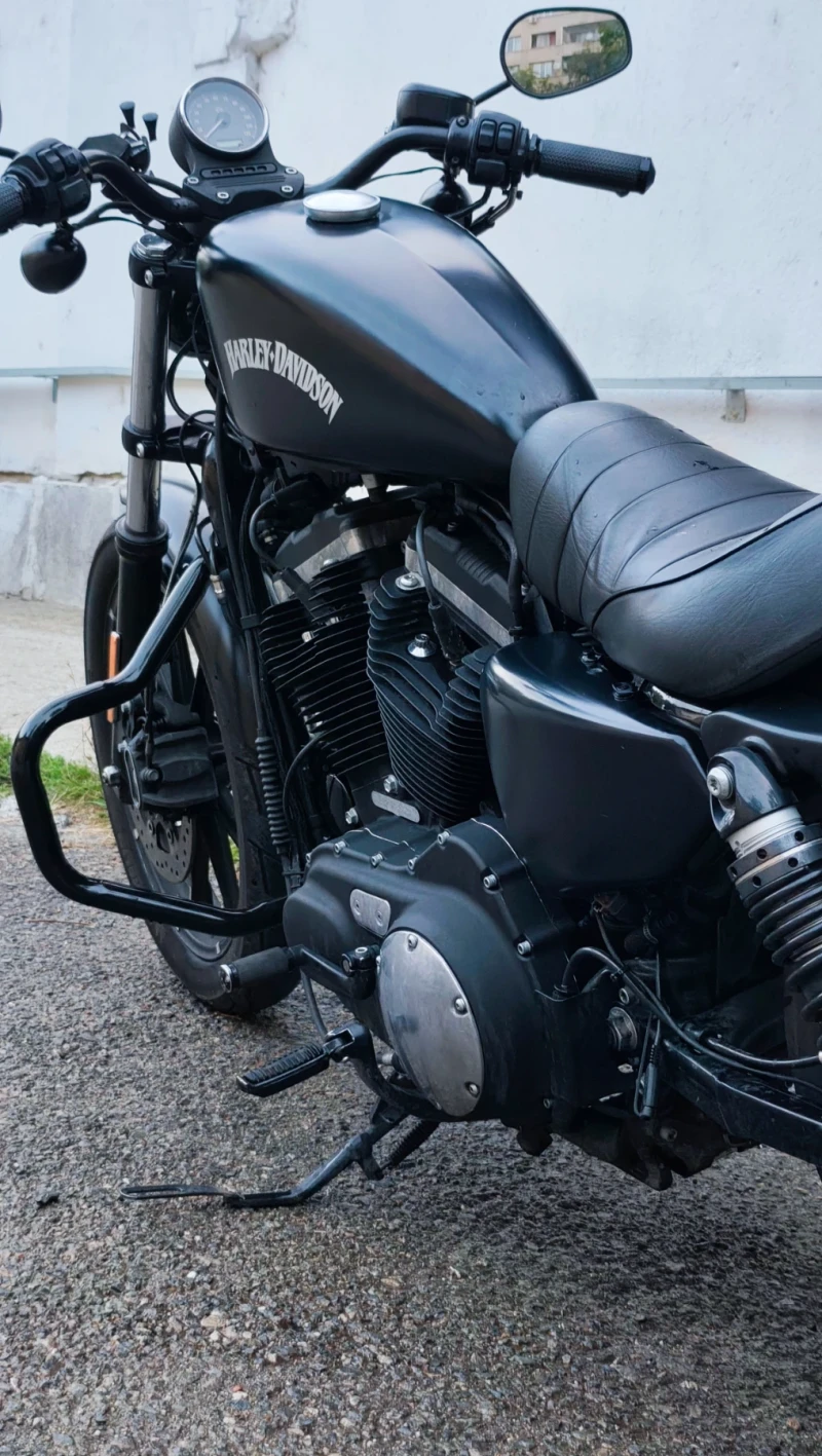 Harley-Davidson Sportster 883 xl iron, снимка 5 - Мотоциклети и мототехника - 52271350