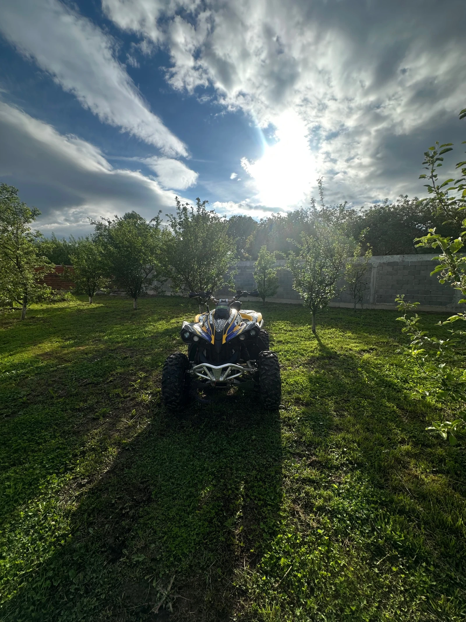 Can-Am Renеgade