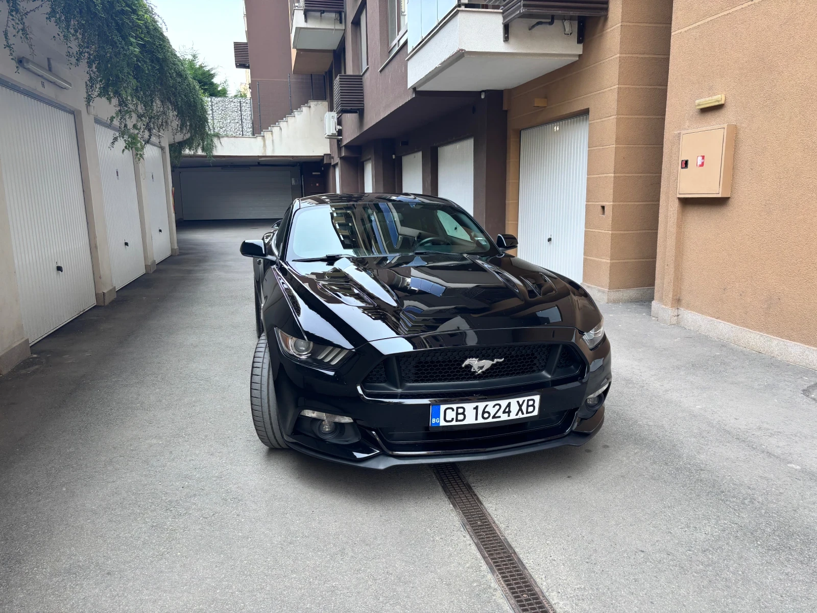 Ford Mustang GT - изображение 7