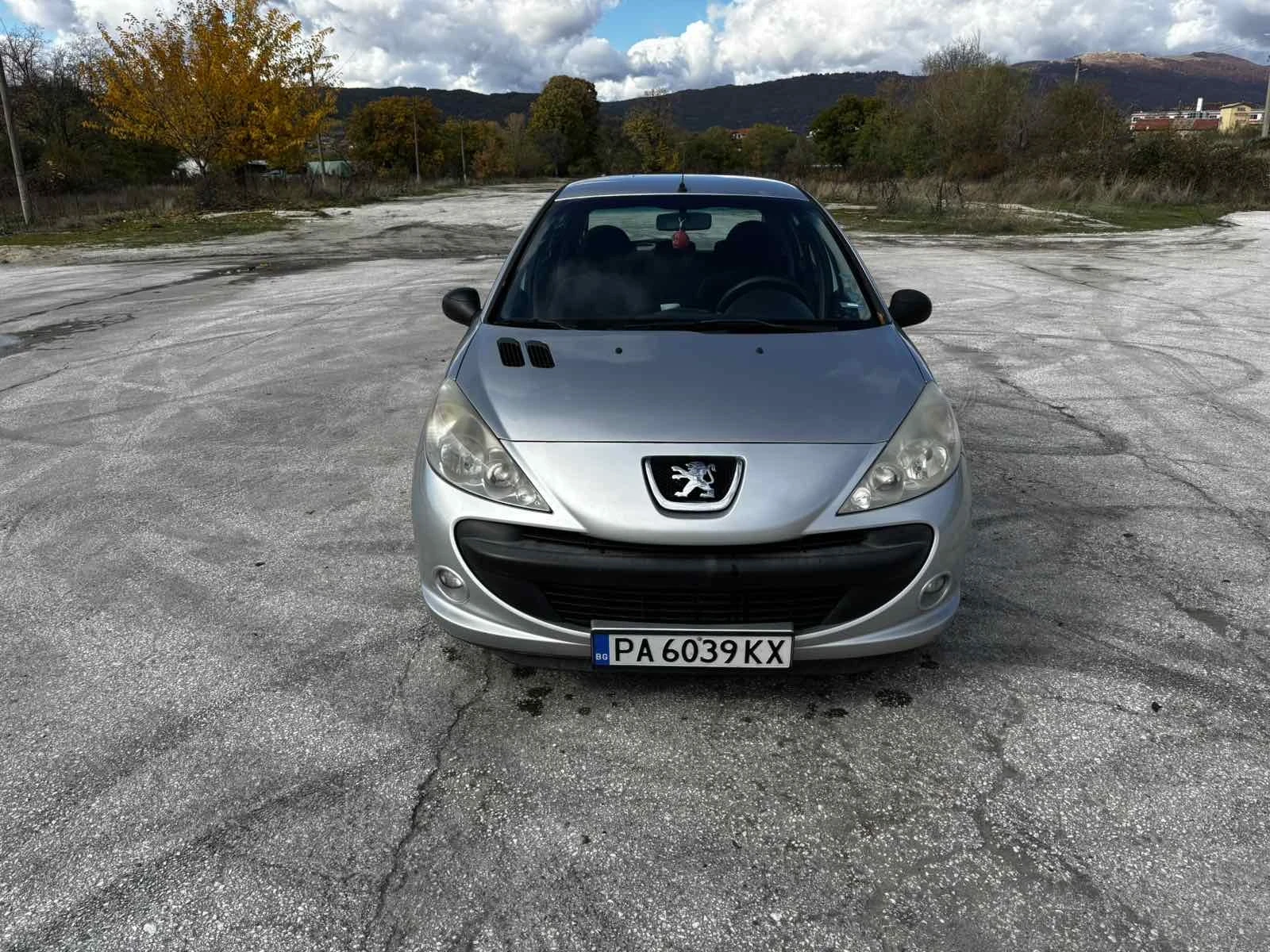 Peugeot 206 Plus - изображение 5