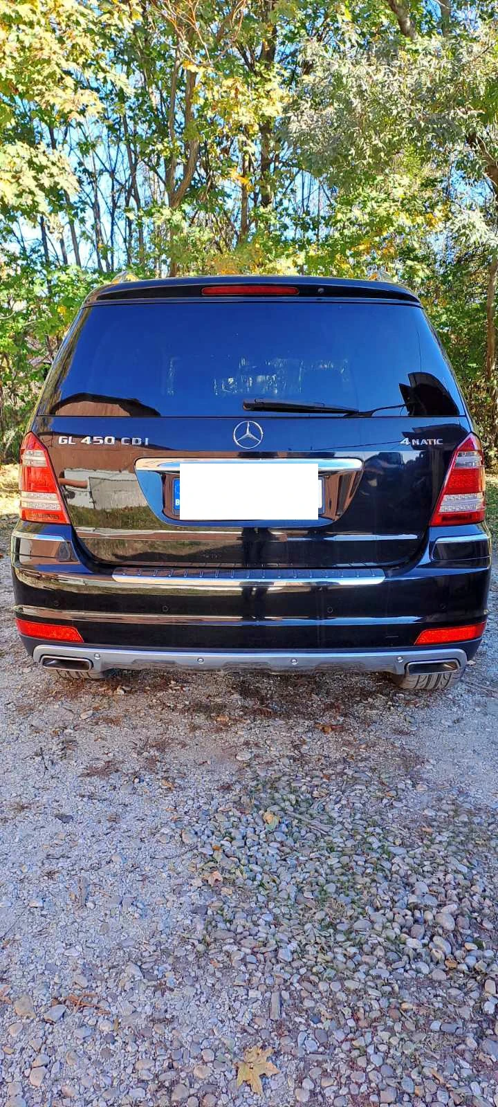 Mercedes-Benz GL 450 x164, снимка 15 - Автомобили и джипове - 53291945