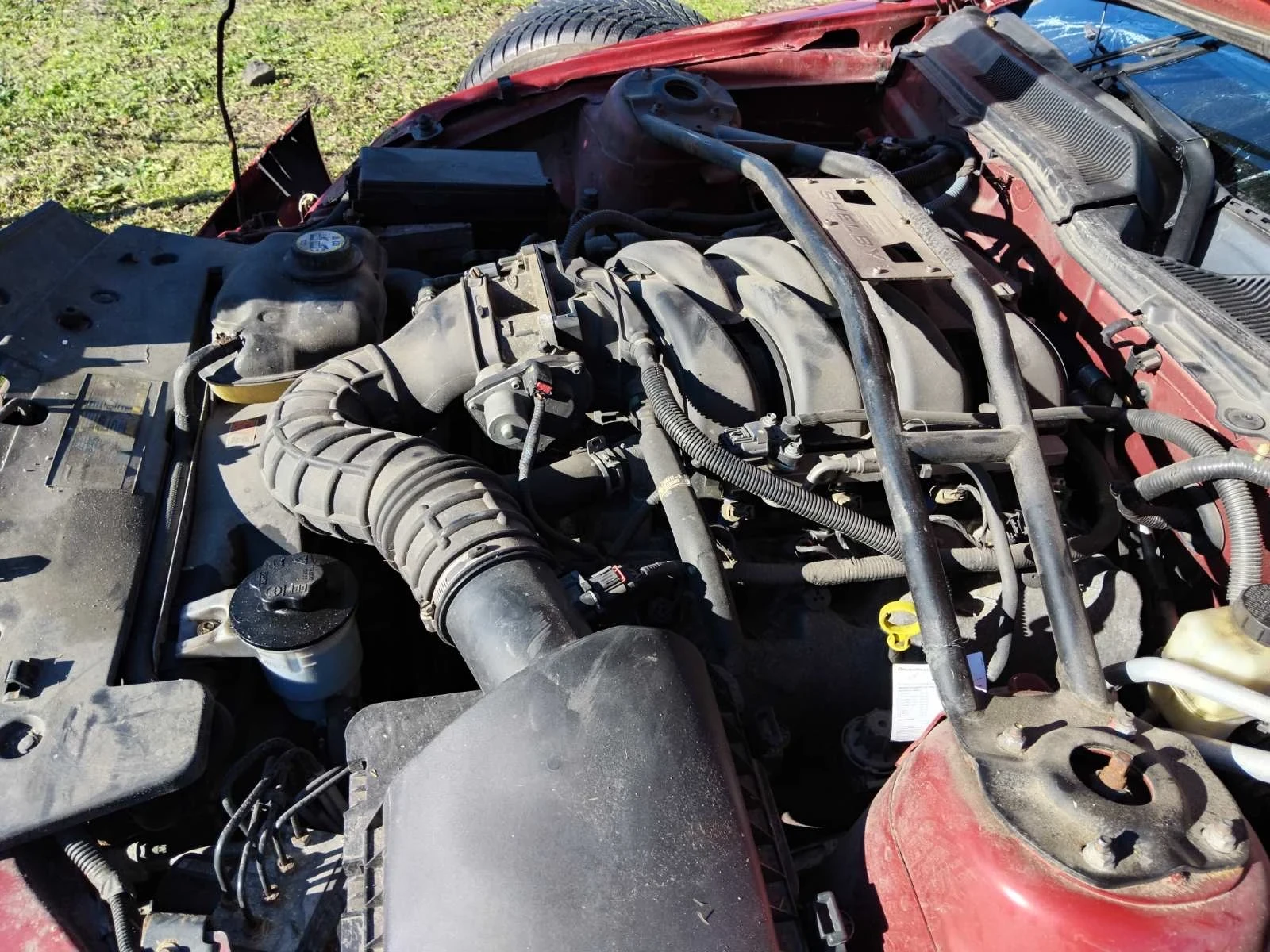 Ford Mustang 4.6 305кс на части  - изображение 5