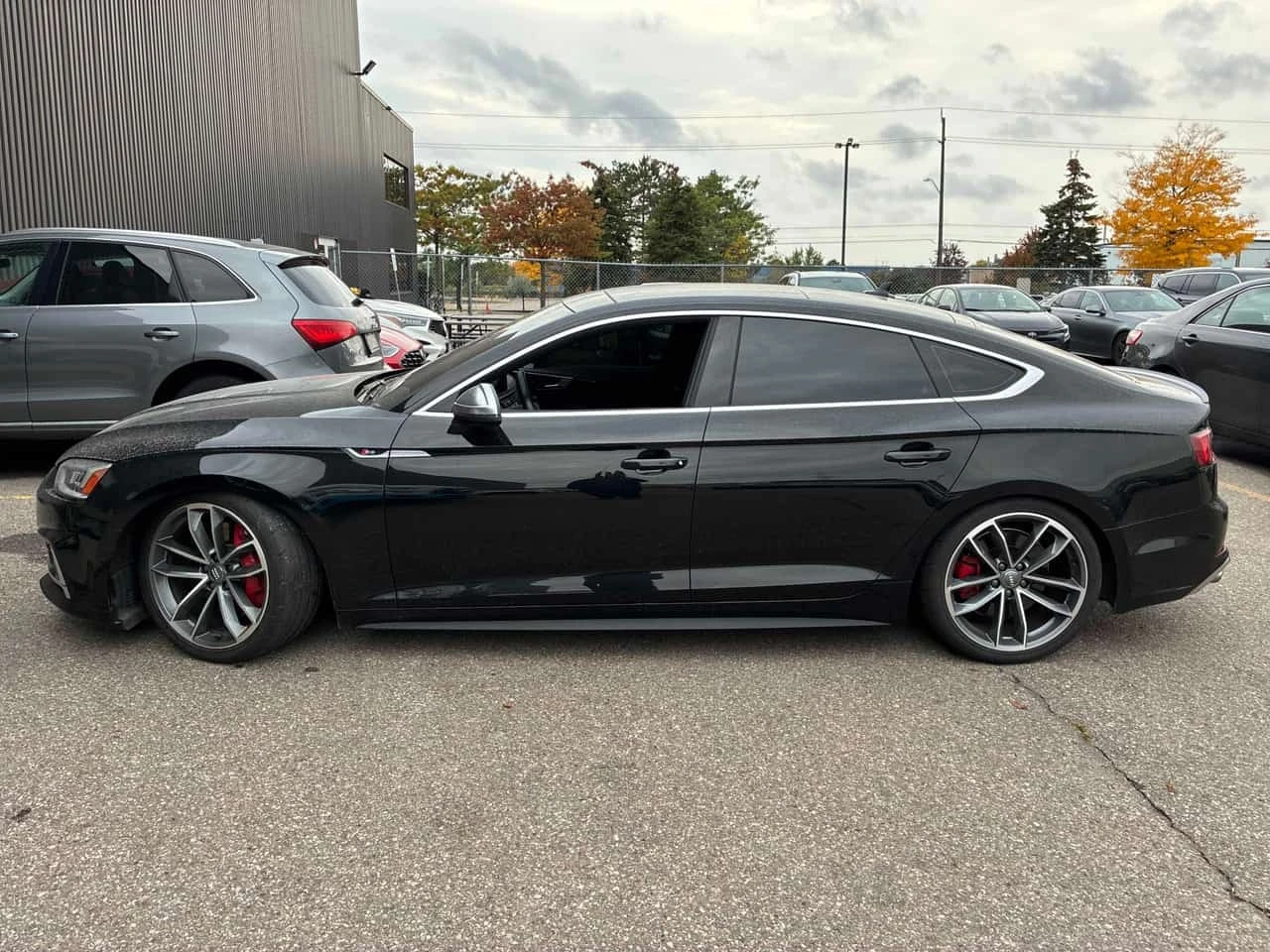 Audi S5 * Technik * B&O Аудио* CARFAX * ФИНАНСИРАНЕ, снимка 3 - Автомобили и джипове - 56332016