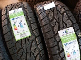 Гуми Зимни 245/65R17, снимка 3 - Гуми и джанти - 44082911