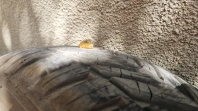  195/55R16 | Mobile.bg    9