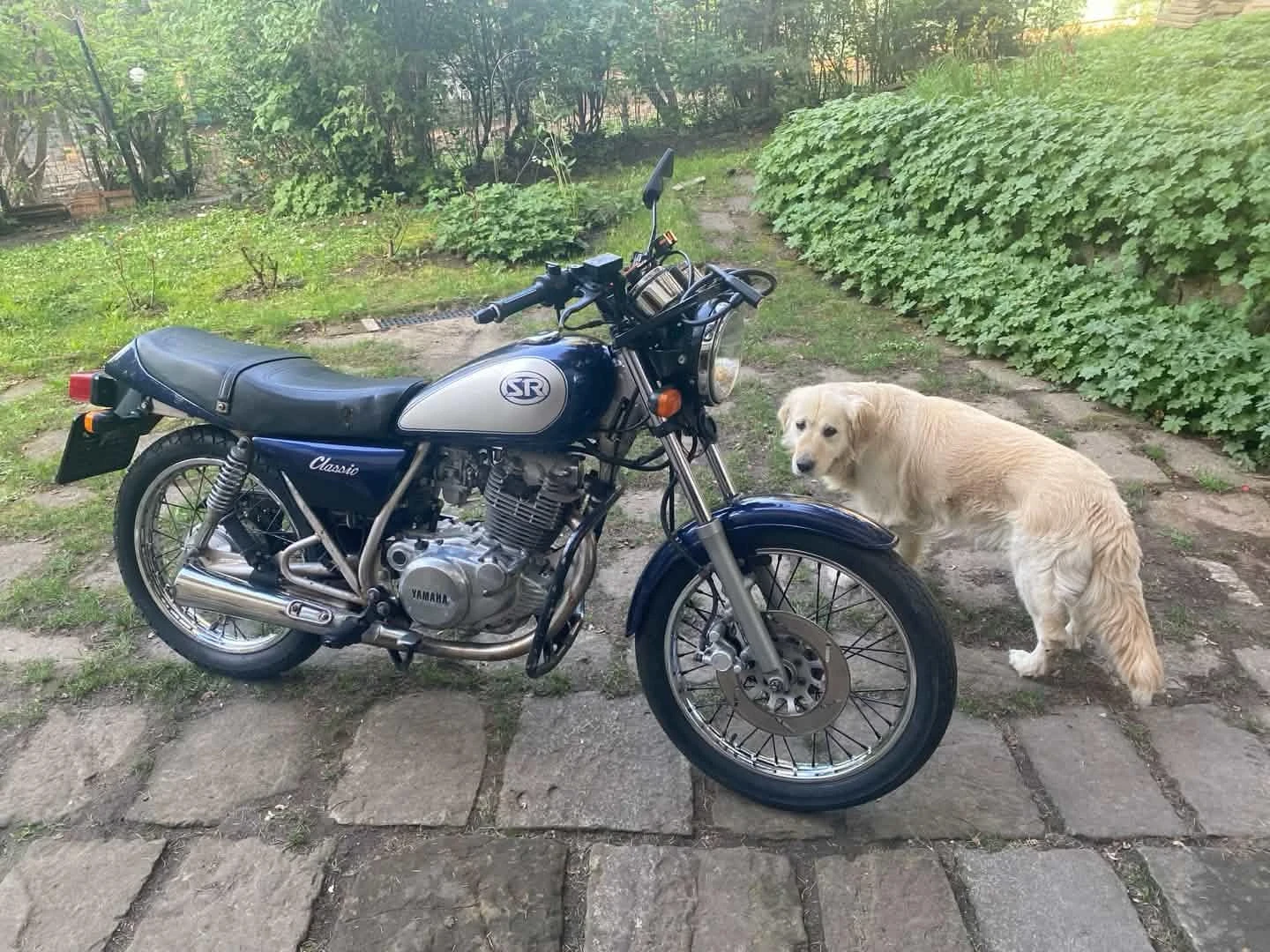 Yamaha Sr Classic , снимка 2 - Мотоциклети и мототехника - 55575899