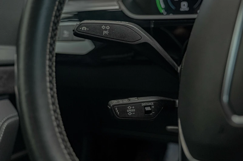 Audi E-Tron 55/95kWh/Quattro/Advance/Камера/Distronic/Lane Ass, снимка 13 - Автомобили и джипове - 51922619