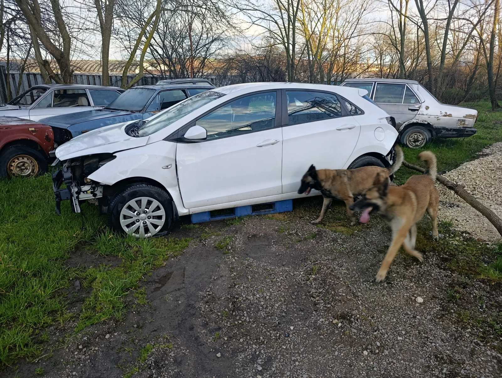 Hyundai I30 | Mobile.bg � ����������� 1