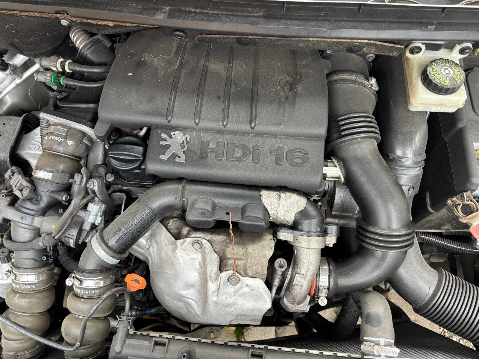 Peugeot 307 ������� | Mobile.bg � ����������� 5