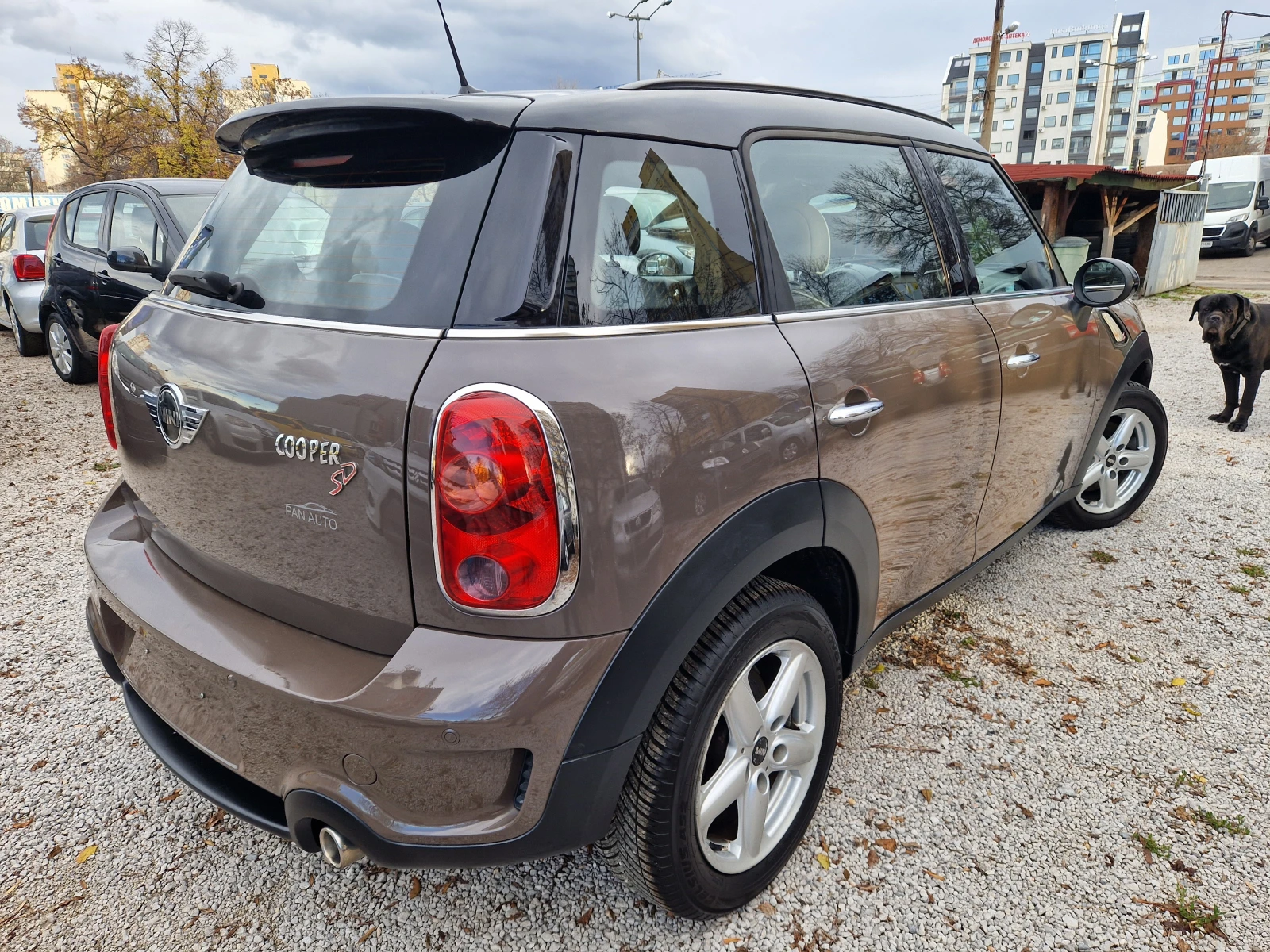 Mini Countryman 2.0 SD/6  | Mobile.bg   5
