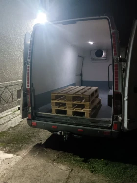 Превоз Транспорт Товарно такси и Хамалски услуги.Превоз на животни , снимка 15