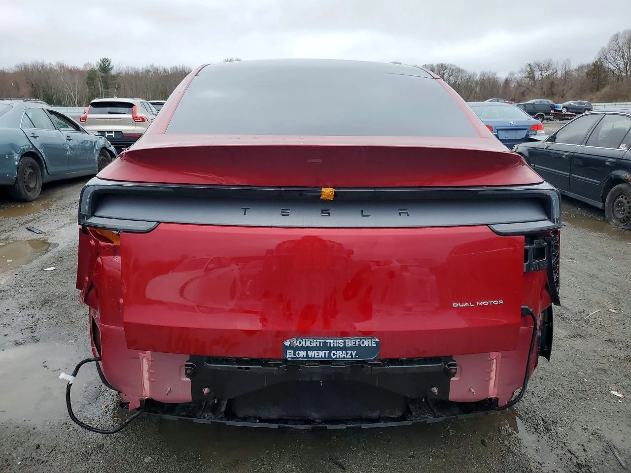 Tesla Model Y LAUNCH SERIES| DUAL MOTOR AWD, снимка 5 - Автомобили и джипове - 55147257