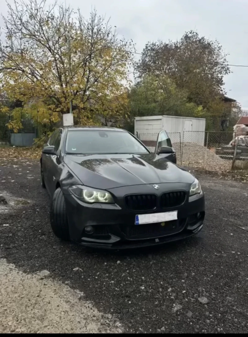 BMW 530 X-Drive 258hp, снимка 2 - Автомобили и джипове - 52948312