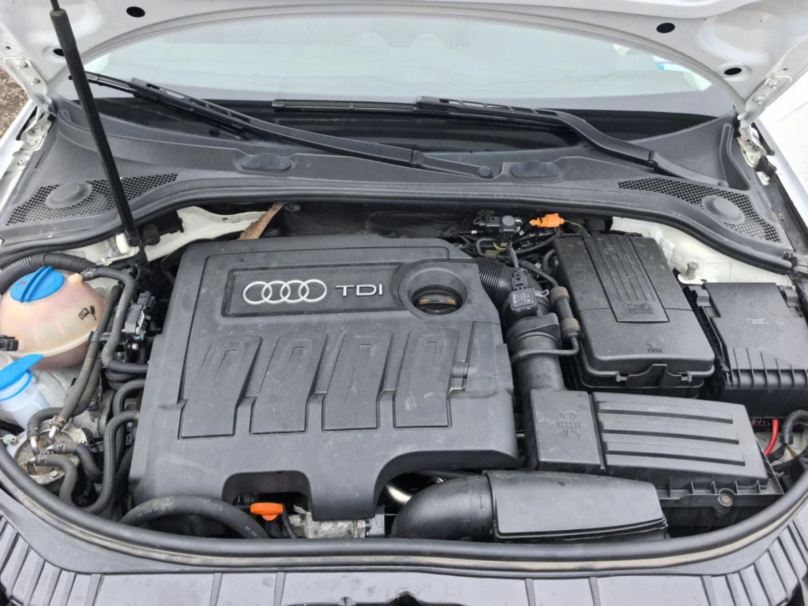 Audi A3 1.6 TDI 90k.c, снимка 13 - Автомобили и джипове - 53916117