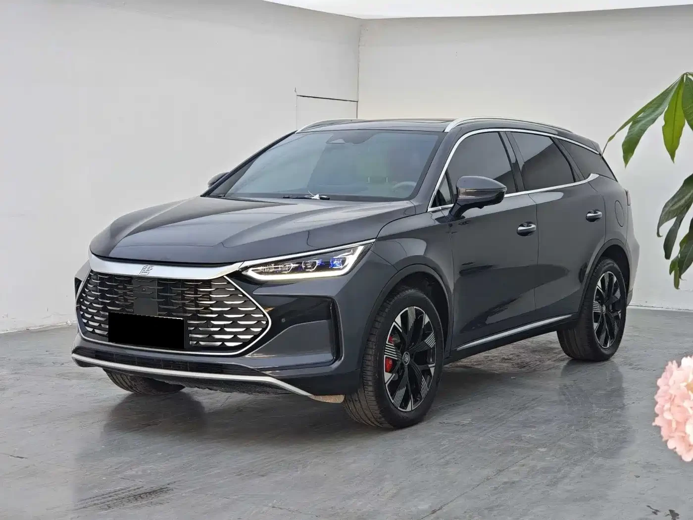 BYD Tang New Energy 2024 DM-p Glory Edition 215KM AWD Premi
