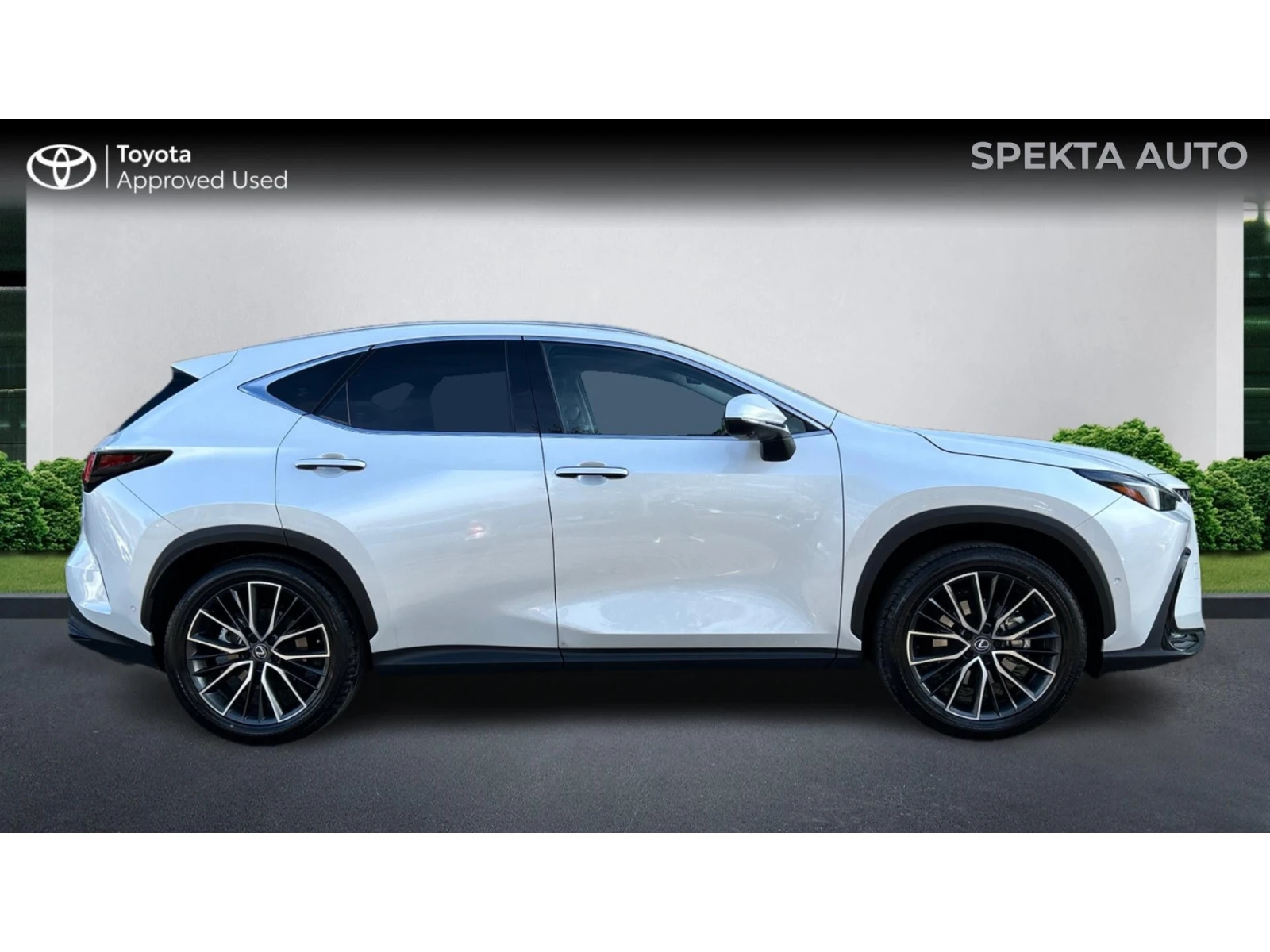 Lexus NX 350h    1000 . | Mobile.bg   17