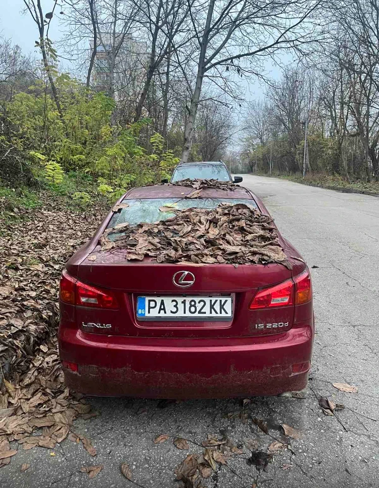 Lexus IS 220d Dcat 177 p.h ����� ���� | Mobile.bg � ����������� 3