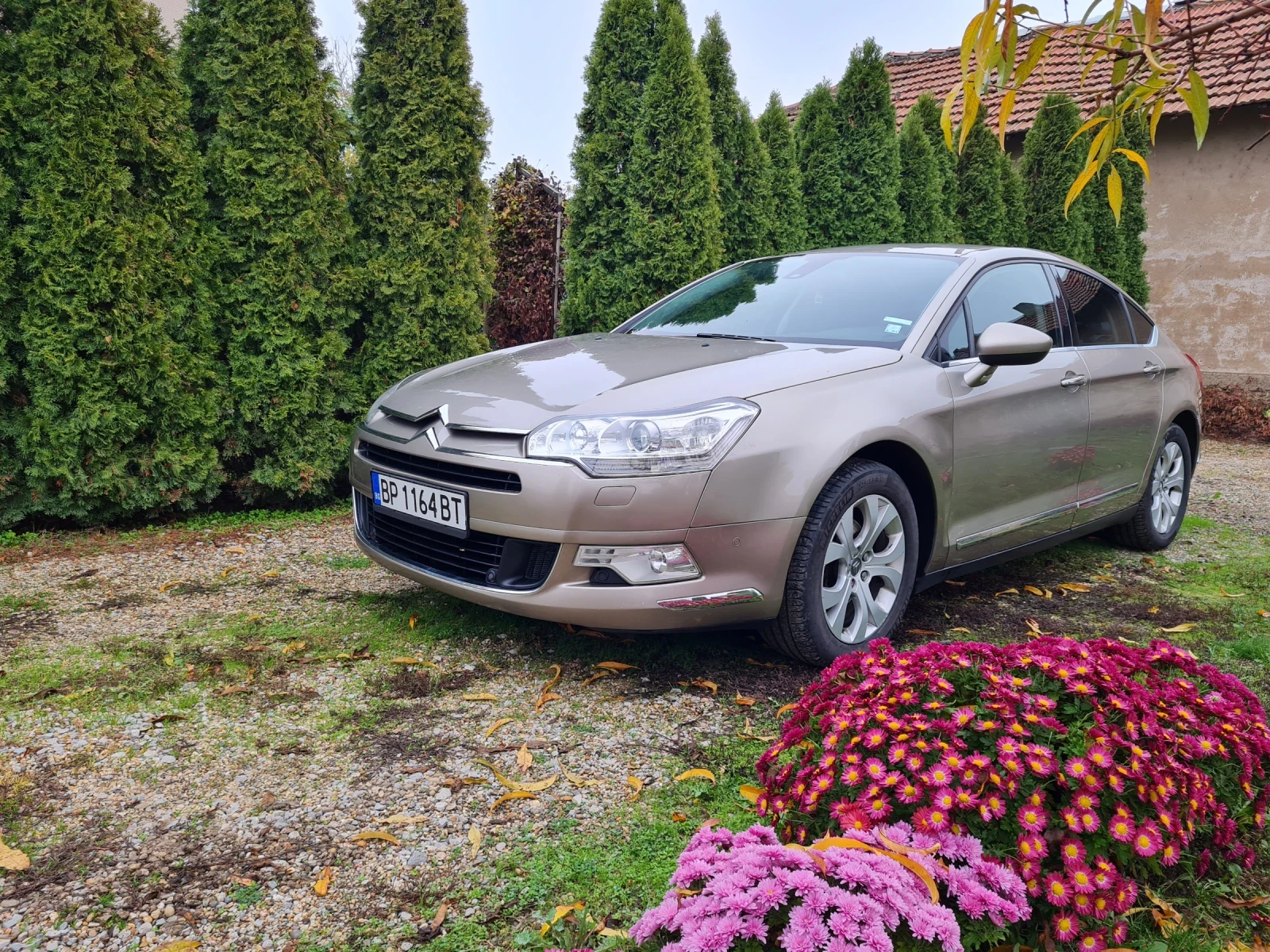 Citroen C5  - изображение 6
