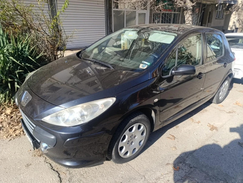 Peugeot 307 1.6hdi, снимка 1 - Автомобили и джипове - 48920169