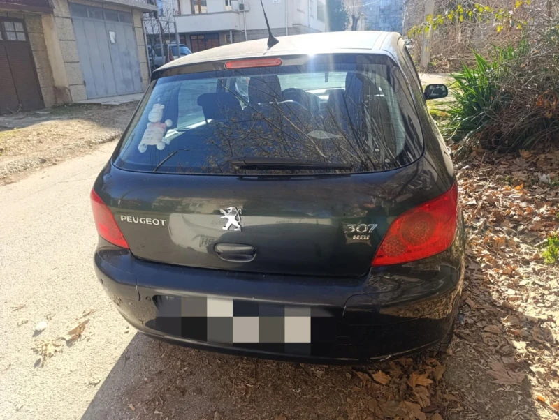 Peugeot 307 1.6hdi, снимка 3 - Автомобили и джипове - 48920169