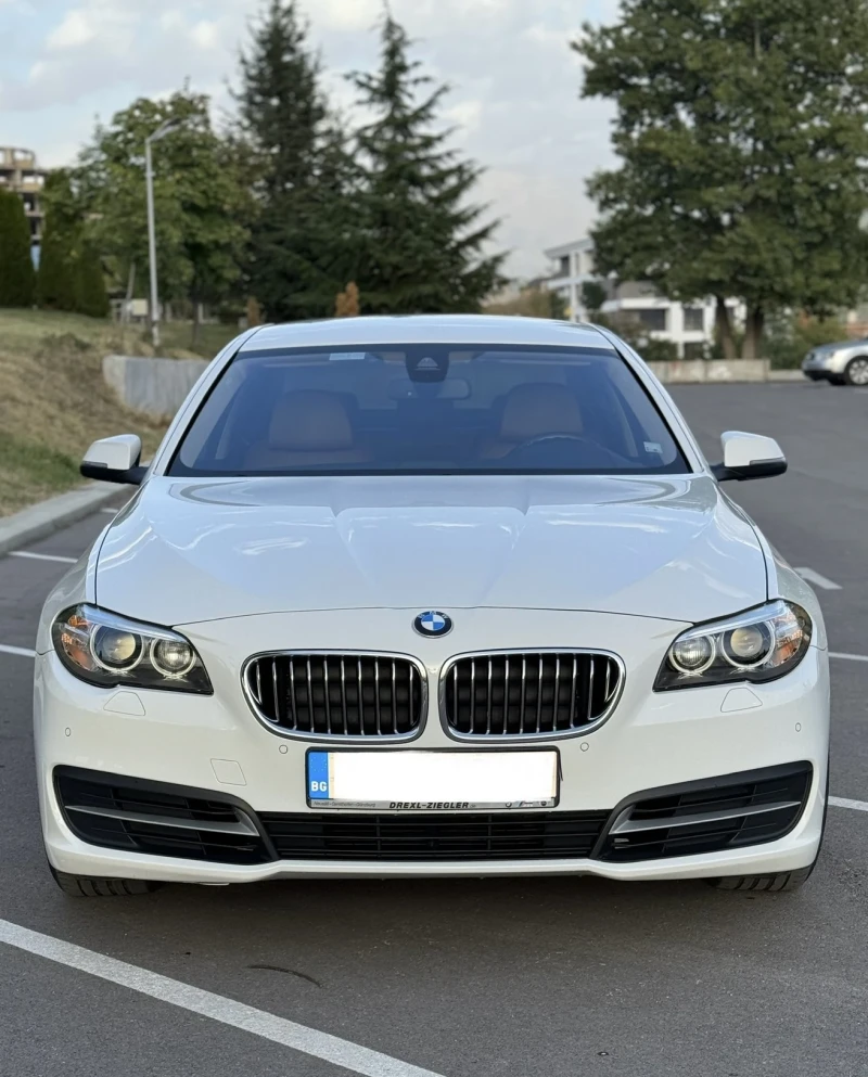 BMW 530 D, снимка 6 - Автомобили и джипове - 48816278