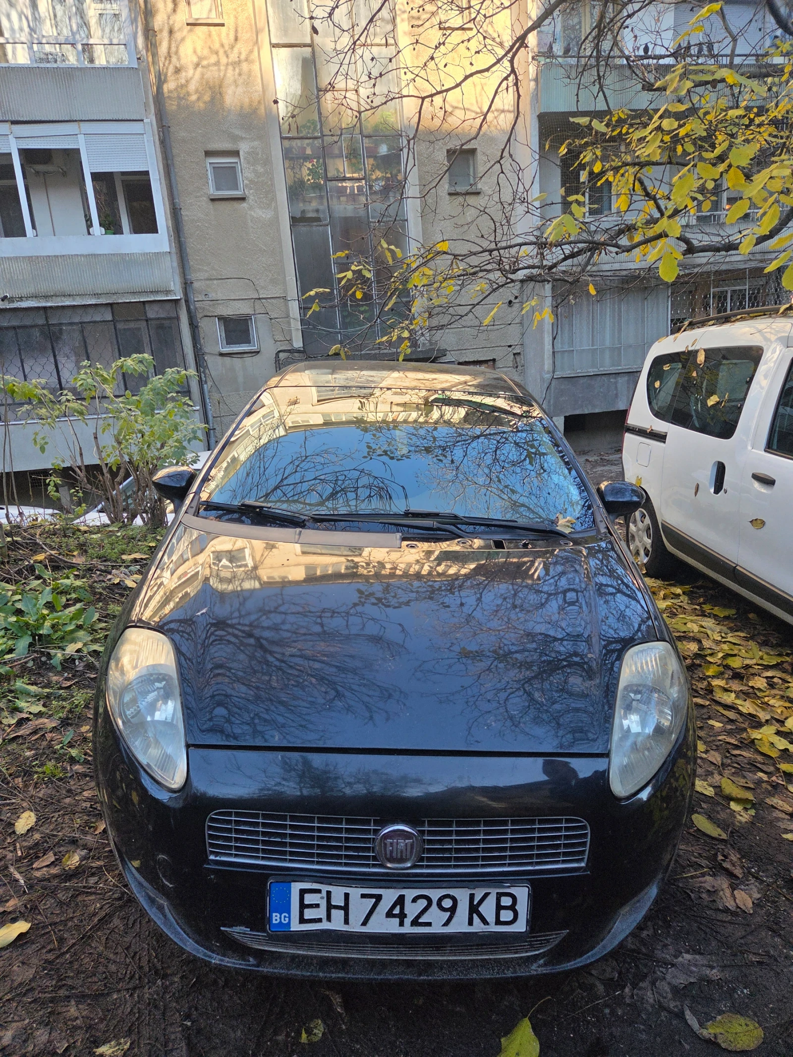 Fiat Punto | Mobile.bg   1