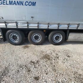 ����� �� �������� �� ����������� Schmitz ����������