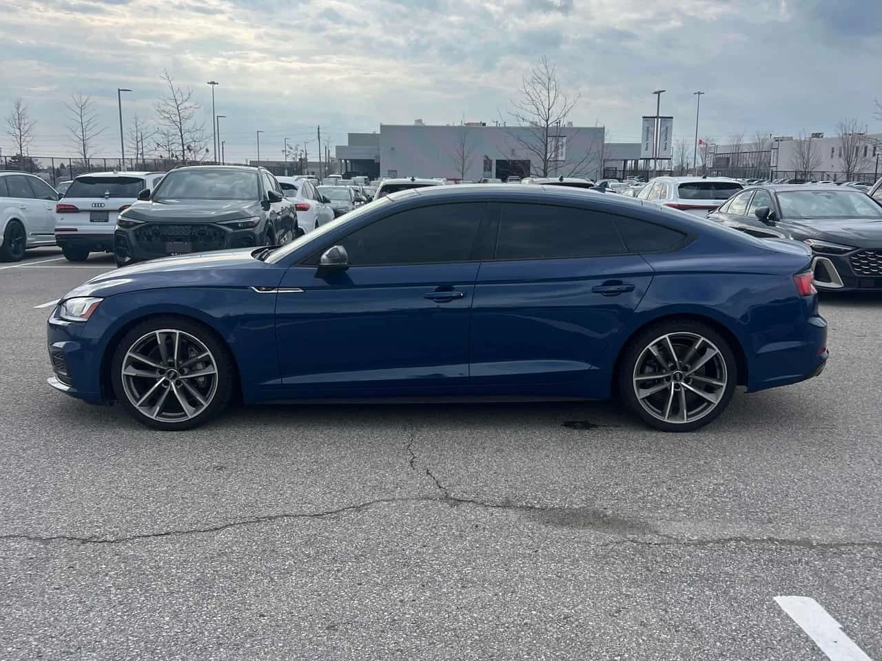 Audi A5 Progressiv/360/ПАНОРАМА/ВТОРИ ГУМИ И ДЖАНТИ, снимка 3 - Автомобили и джипове - 54240944