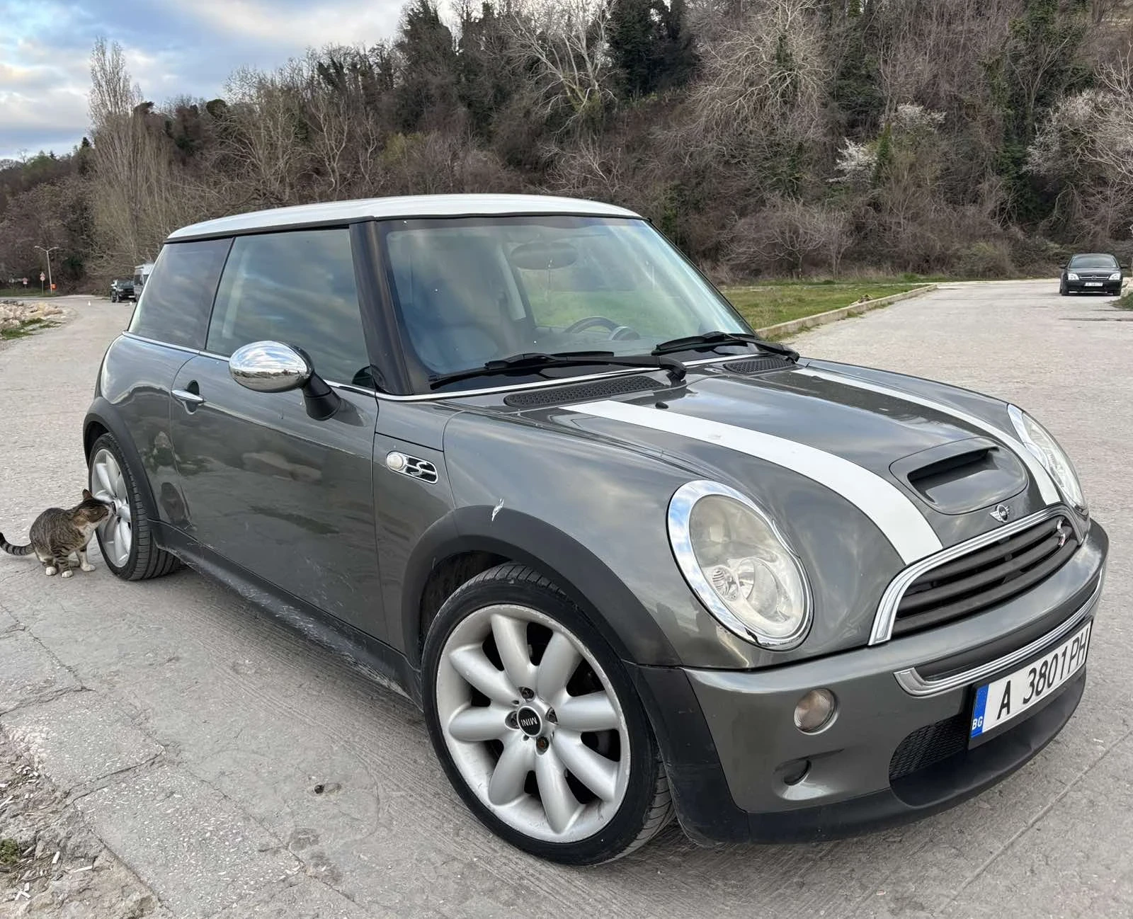 Mini Cooper s R53, снимка 2 - Автомобили и джипове - 54118575