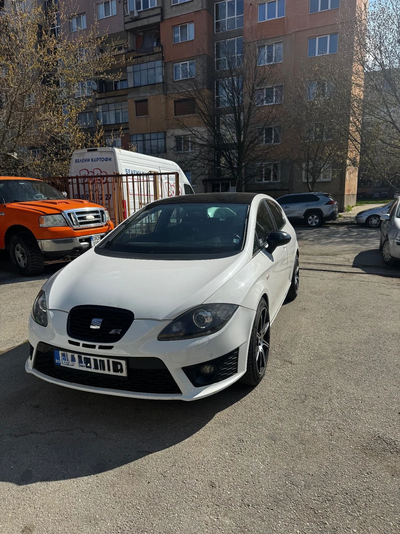 Seat Leon Cupra R310
